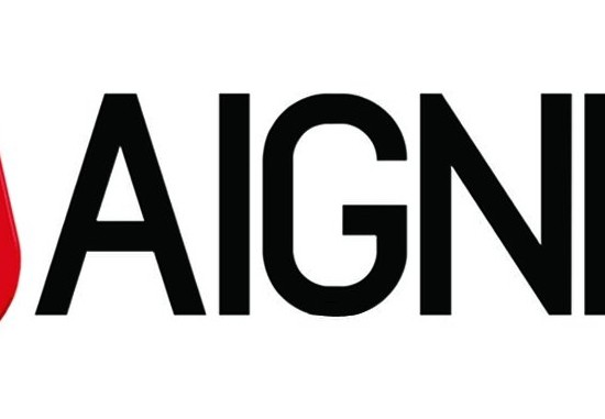71376-aignep